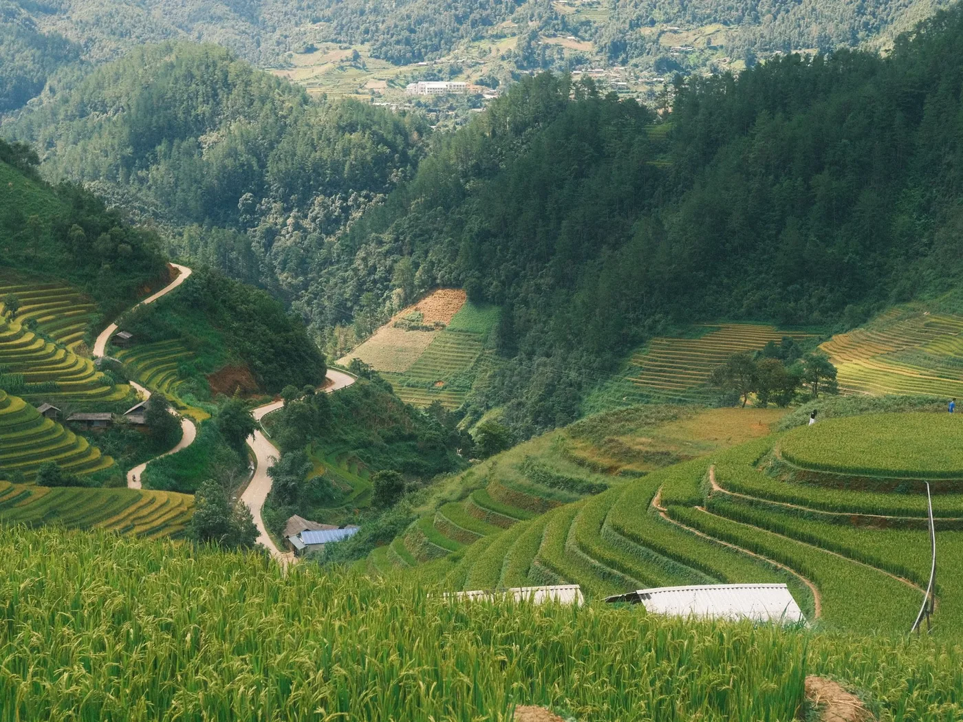 A hill trail winding between rice terraces in northern Vietnam
