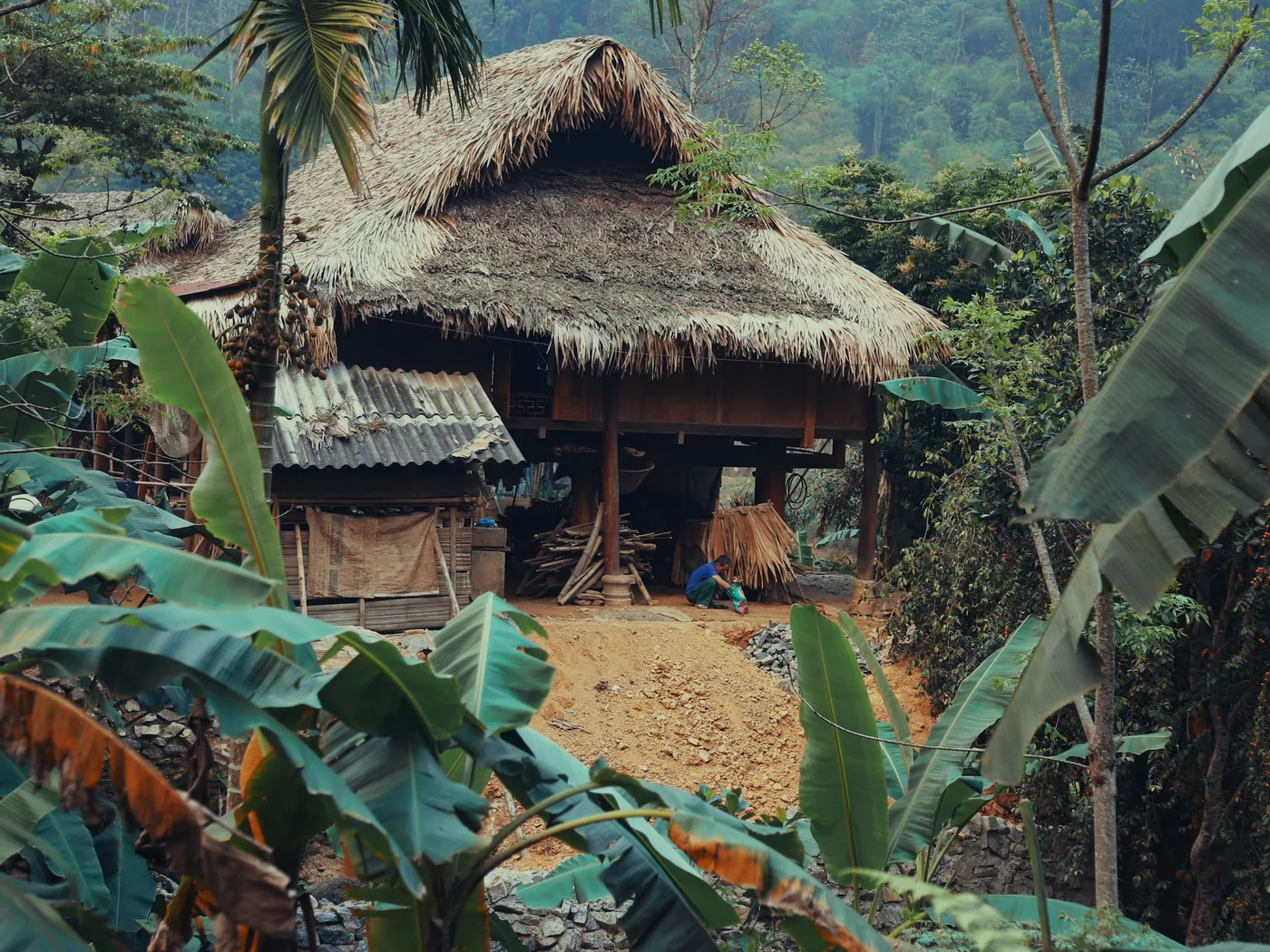 A Black Hmong village among the rice terraces near Sa Pa